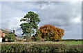 Autumn at Bank Farm near Burland, Cheshire