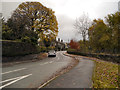 Shaw Lane, Brookfield