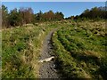 Path leading uphill