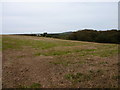 Farmland above Manor Parsley