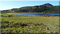 SH5654 : Southern edge of Llyn Cwellyn, Snowdonia by Jaggery