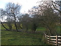 Bridleway at Swindon Beck