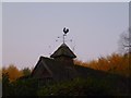 Weathercock on Fernden Lane