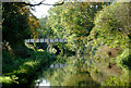 Llangollen Canal at Wrenbury Heath, Cheshire