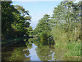 Llangollen Canal near Wrenbury cum Frith, Cheshire