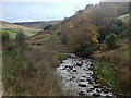 Shelf Brook, view upstream