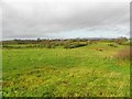 Ballintrain Townland