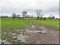 H5870 : Muddy ground, Ballintrain by Kenneth  Allen