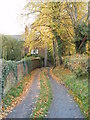 Lane below Rostherne Church