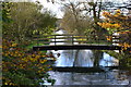 River Ebble looking upstream from Nunton Bridge