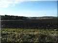 Ploughed field near Chillingham