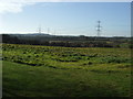 Farmland, Great Co-op House Farm