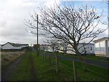 NU2231 : Coastal Northumberland : New Housing, Lane and Caravan Park at Seahouses by Richard West
