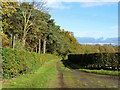 Track beside Dark Walk Wood