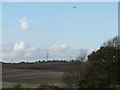 Kestrel hovering above the issues, South Moor [2]