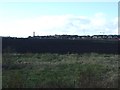 Farmland near Ryhope