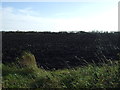 Farmland off the A1018