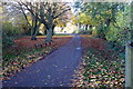 Lane through Emberton Country Park