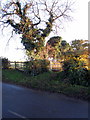 Footpath to the Great Ouse in Clifton Reynes