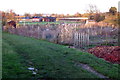 Allotments in Clifton Reynes