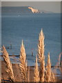 Southbourne: view towards the Isle of Wight