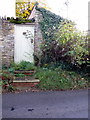 Garden door onto the high street