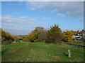 Path to Kennington Park, Thurrock