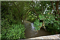 Looking up Venn Stream from a bridge on Bableigh Road at Landkey