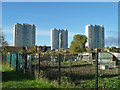 Tower blocks, Edmonton Green