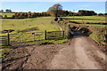 Road near Nant-y-carw