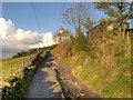 The Track Towards Shaw Moor