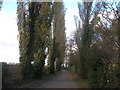 Bridleway near Broadfields Farm