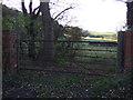 Field entrance off Tunstall Road