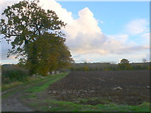 SP2353 : Footpath at Crofts Farm by Nigel Mykura