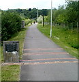 Path through Taff Bargoed Millennium Park, Trelewis