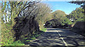 A39 northwest of Little Laniley Farm