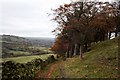 Gritstone Trail above Bollington