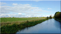 SJ6050 : Farmland and canal west of Ravensmoor, Cheshire by Roger  D Kidd