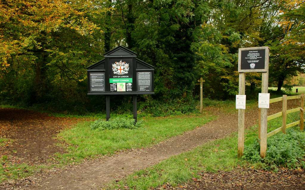 Kenley Common, Surrey © Peter Trimming :: Geograph Britain and Ireland