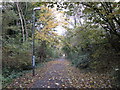 The Trans Pennine Trail