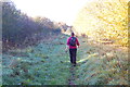 Footpath in Crowsheath Community Woodland