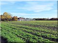 Electricity sub-station as seen across farmland