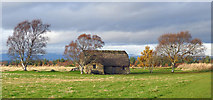 NH7444 : Old Leanach Cottage on the Culloden Battlefield by Julian Paren