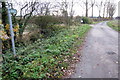 Bridleway and track to Castle Farm