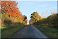 TF3879 : Unnamed Road towards Park Farm by J.Hannan-Briggs