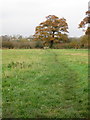 Path to Stow Castle Farm