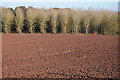 Ploughed field near Rhiwlas Farm