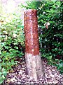 Tree sculpture in Victoria Park (3)