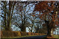 Tree-lined A811 west of Lower Ballaird