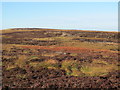 NY6352 : Moorland east of West Dun Hill by Mike Quinn
